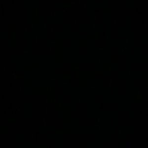 Meet your Posher, Joshua